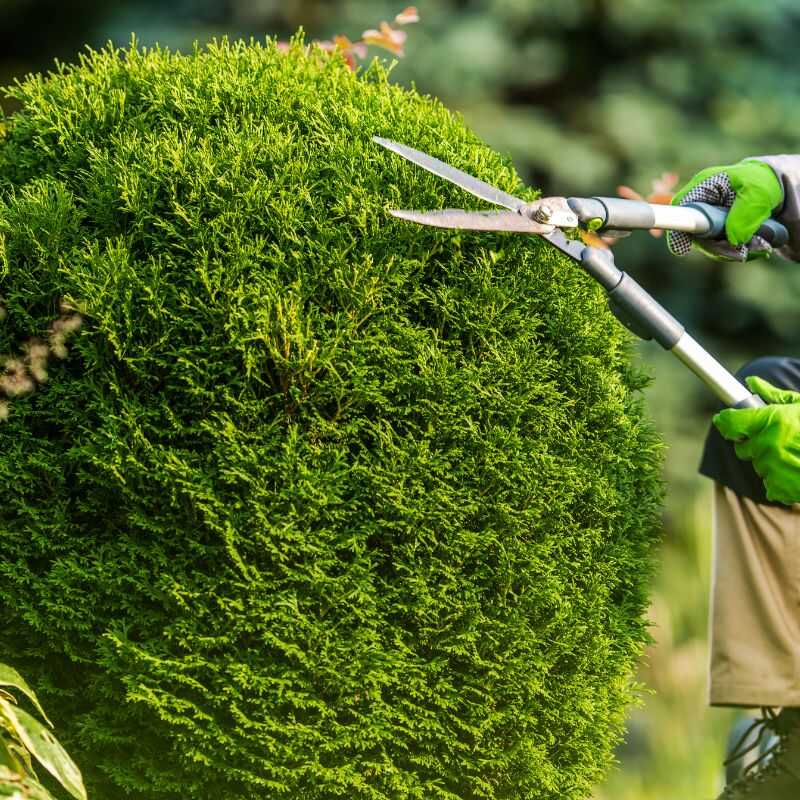 Leading Lawn Care and Garden Enhancement in Wilmington, DE-Green House Landscaping Service (3)